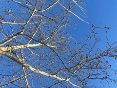 -酷鱼垂钓CLUB(朝阳区博大路店 )