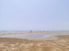 -日照海滨国家森林公园