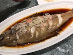 清蒸深海鴉片魚-纳瓦新疆菜(银都店)