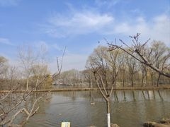 -西安浐灞国家湿地公园