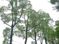 -韶山毛泽东同志故居