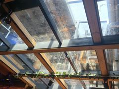 -在路上酒吧(大理古城店)