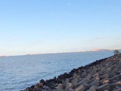 -上海滨江森林公园