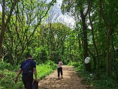 -青龙山国家森林公园