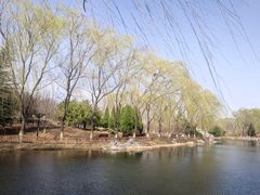 -东升八家郊野公园