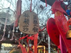 -祥源·阜阳生态乐园