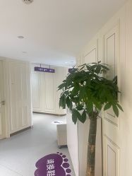 -广州美莱医疗美容医院