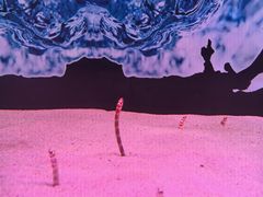 -多彩贵州城极地海洋世界