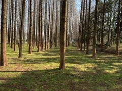 -宜兴龙背山森林公园
