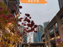 -The PEAT Coffee(深业中城店)