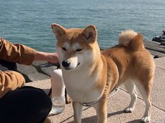 -八大峡公园