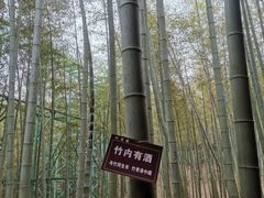 -陶祖圣境风景区