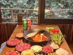 -阳阳老火锅(小南门店)