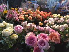 -循礼门鲜花花市(武汉循礼门店)