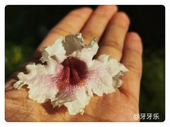 -老君堂公园