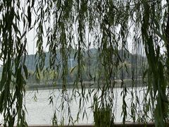 -浙江科技大学(小和山校区)