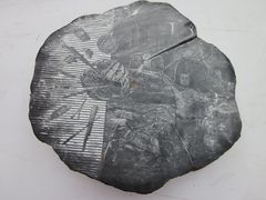 -西安大唐西市博物馆