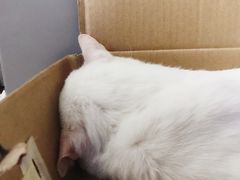 -拜鲁耶动物诊疗中心·宠家动物医院