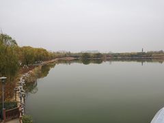 -大兴滨河森林公园