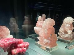 -中国地质博物馆