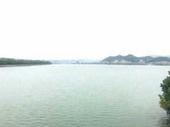 -老炳·七丛松甘草水果