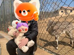 -大连森林动物园