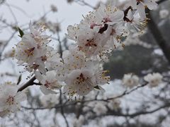 -天津盘山风景名胜区