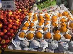 -全而廉(靖宇中路店)