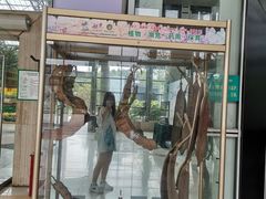 -南山植物园