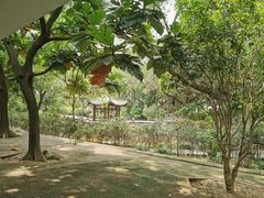 -九龙公园
