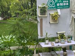 -上海鲜花港