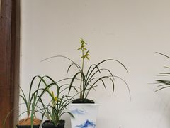 -郭庄景区
