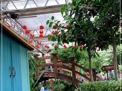 -南宫五洲植物乐园