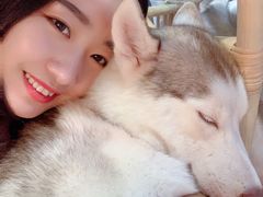 -Husky Go! 哈士奇体验馆·宠物咖啡厅狗咖