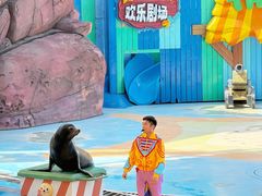 -海合安成都极地海洋公园