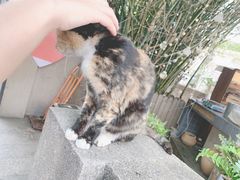-厦门海底世界