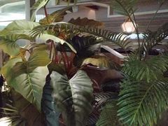 -湊湊火锅·茶憩(皇姑万象汇店)