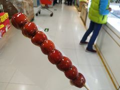 -和禄德冰糖葫芦