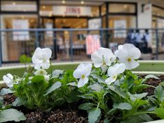 -三井奥特莱斯购物城(爵士之梦长岛店)