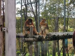 -哈尔滨北方森林动物园