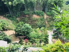 -广州市帽峰山景区