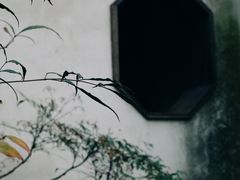-留园