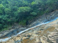 -广州白江湖森林公园