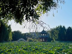 -莲池书院博物馆