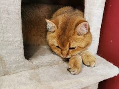 -谜语人真人演绎沉浸式密室实景游戏剧场