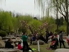 -鹦鹉寺公园