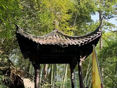 -东天目山风景区