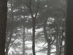 -四明山国家森林公园