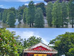 -顺峰山公园
