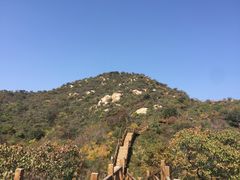 -大岭沟猕猴桃谷风景区